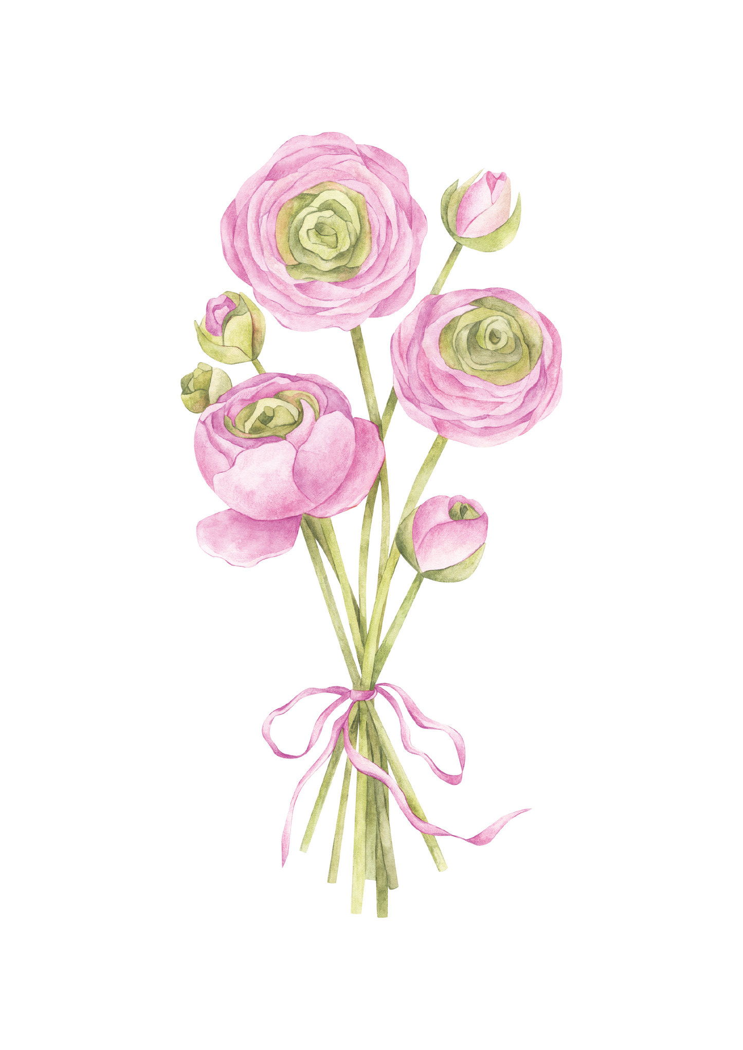 Ranunculus Nursery Art Print Pink