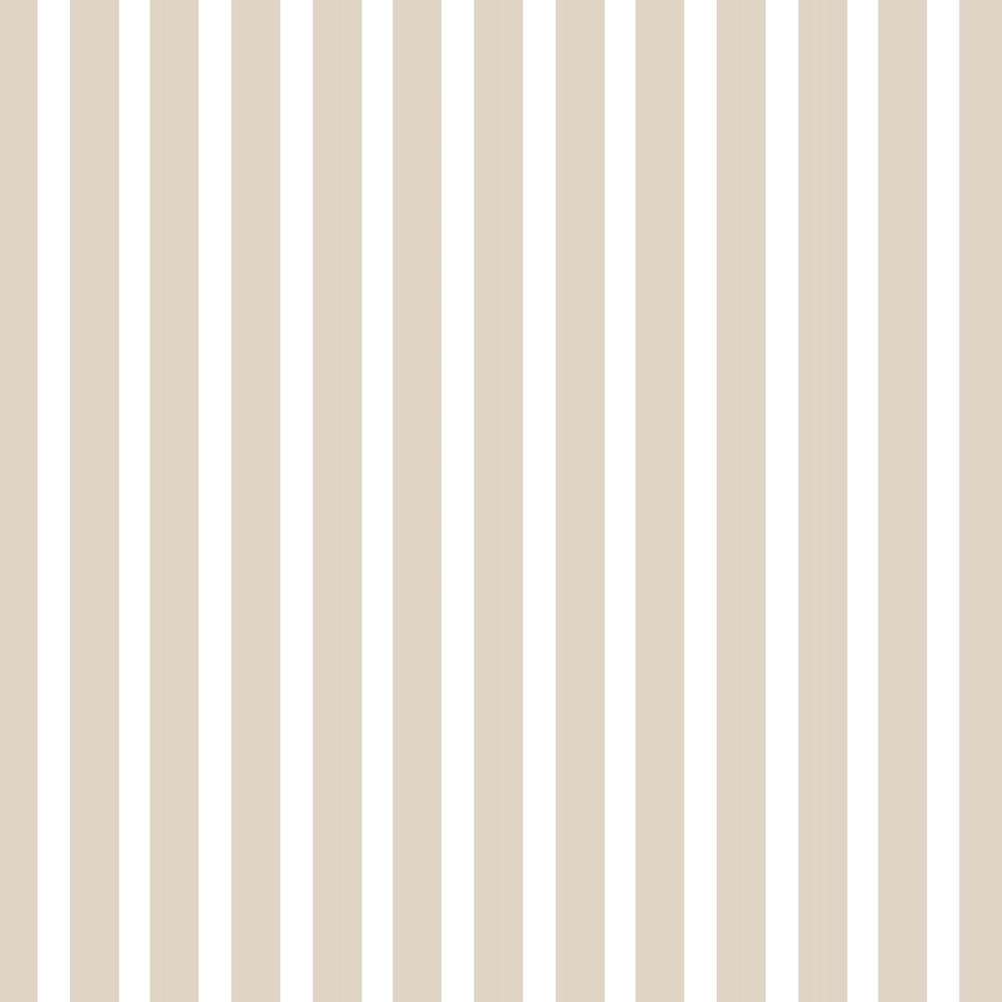 Medium Stripes Photo Mount - passepartout frame - rectangular aperture - Coeur et Maman