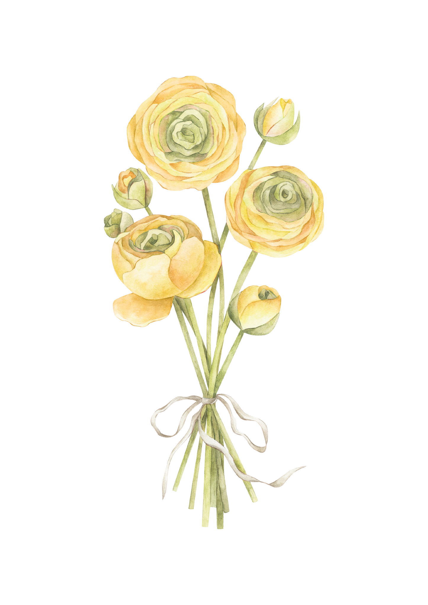 YELLOW RANUNCULUS NURSERY ART PRINT