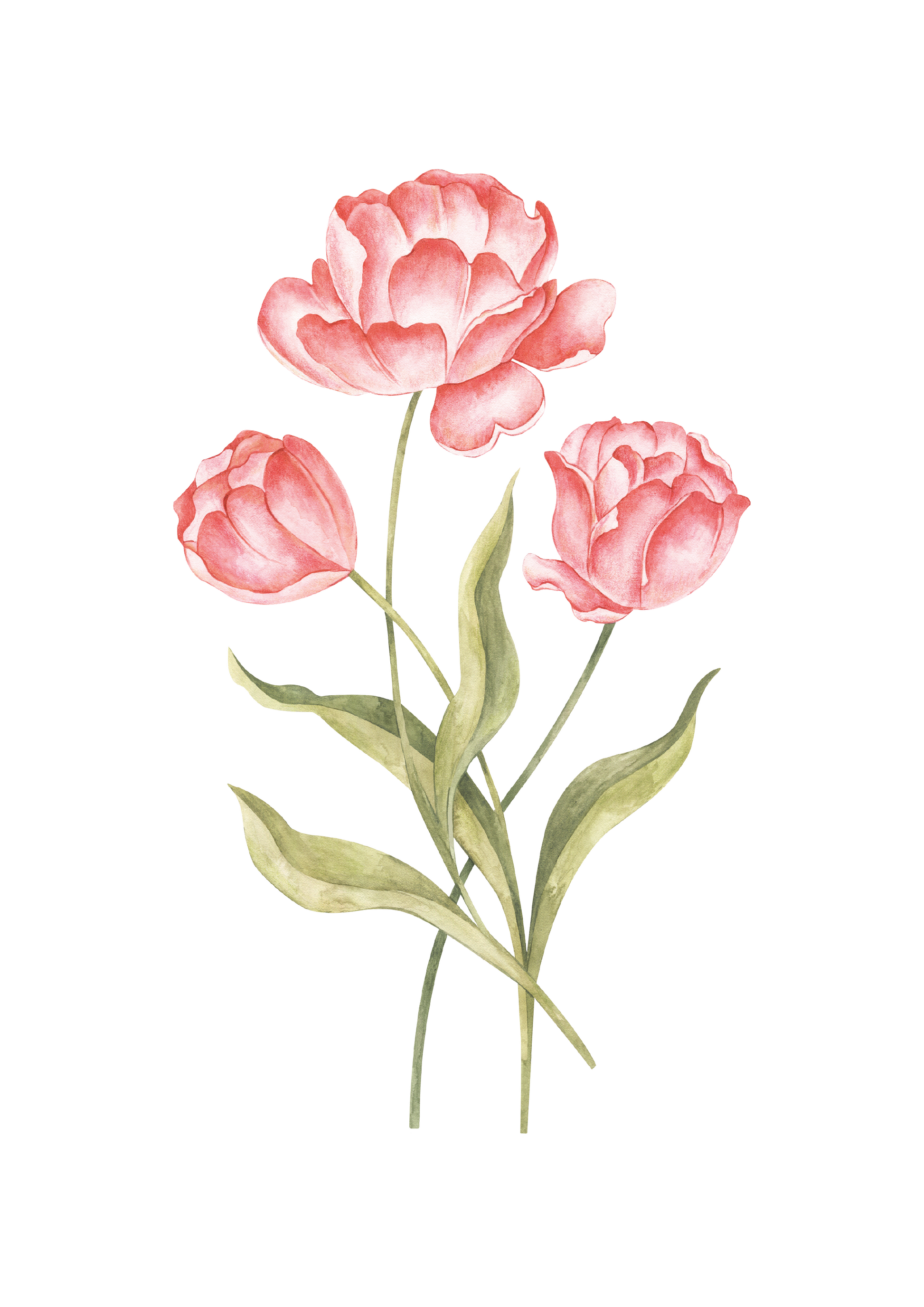 CORAL TULIPS NURSERY ART PRINT
