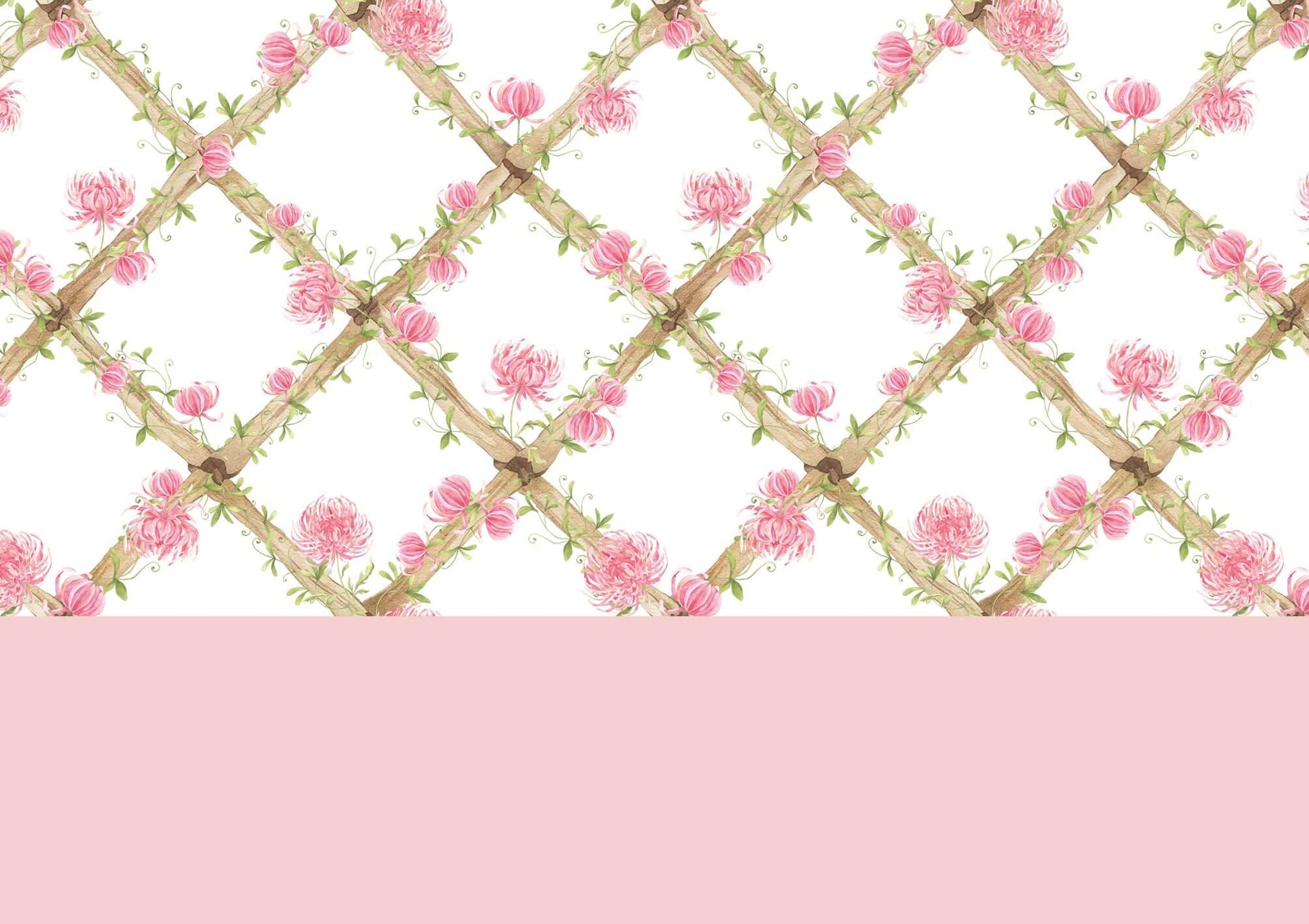 Chrysanthemums Bamboo Trellis Wallpaper Border