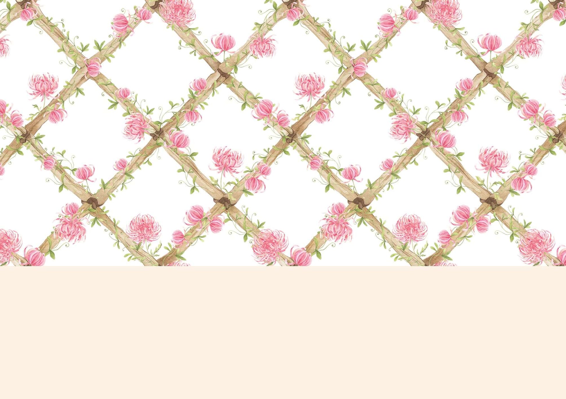 Chrysanthemums Bamboo Trellis Wallpaper Border