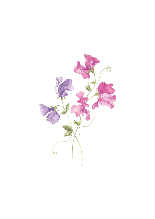 PINK & LILAC Sweet Pea Nursery Art Print