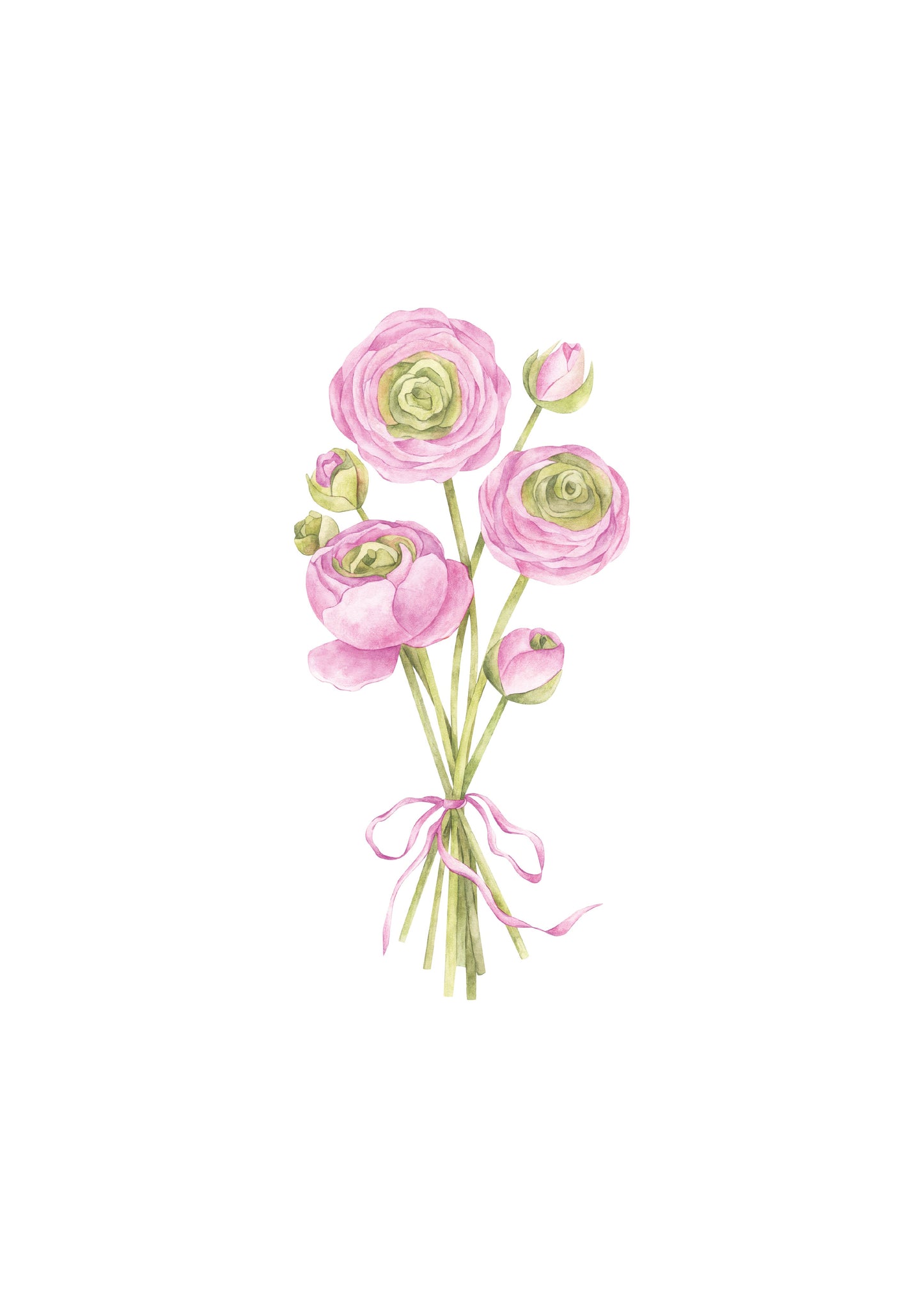 Ranunculus Nursery Art Print Pink