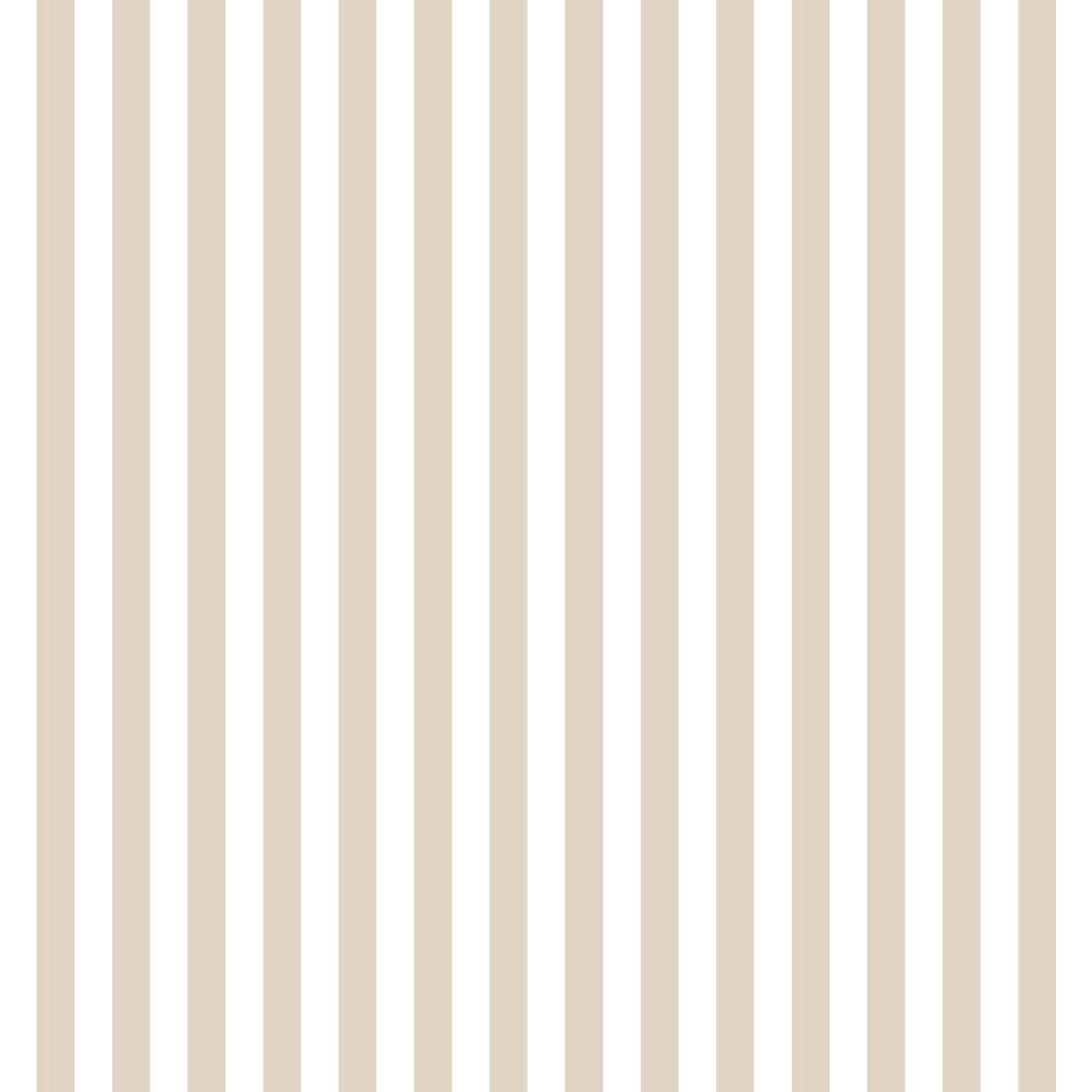 Taupe Landscape Small Stripes Photo Mat