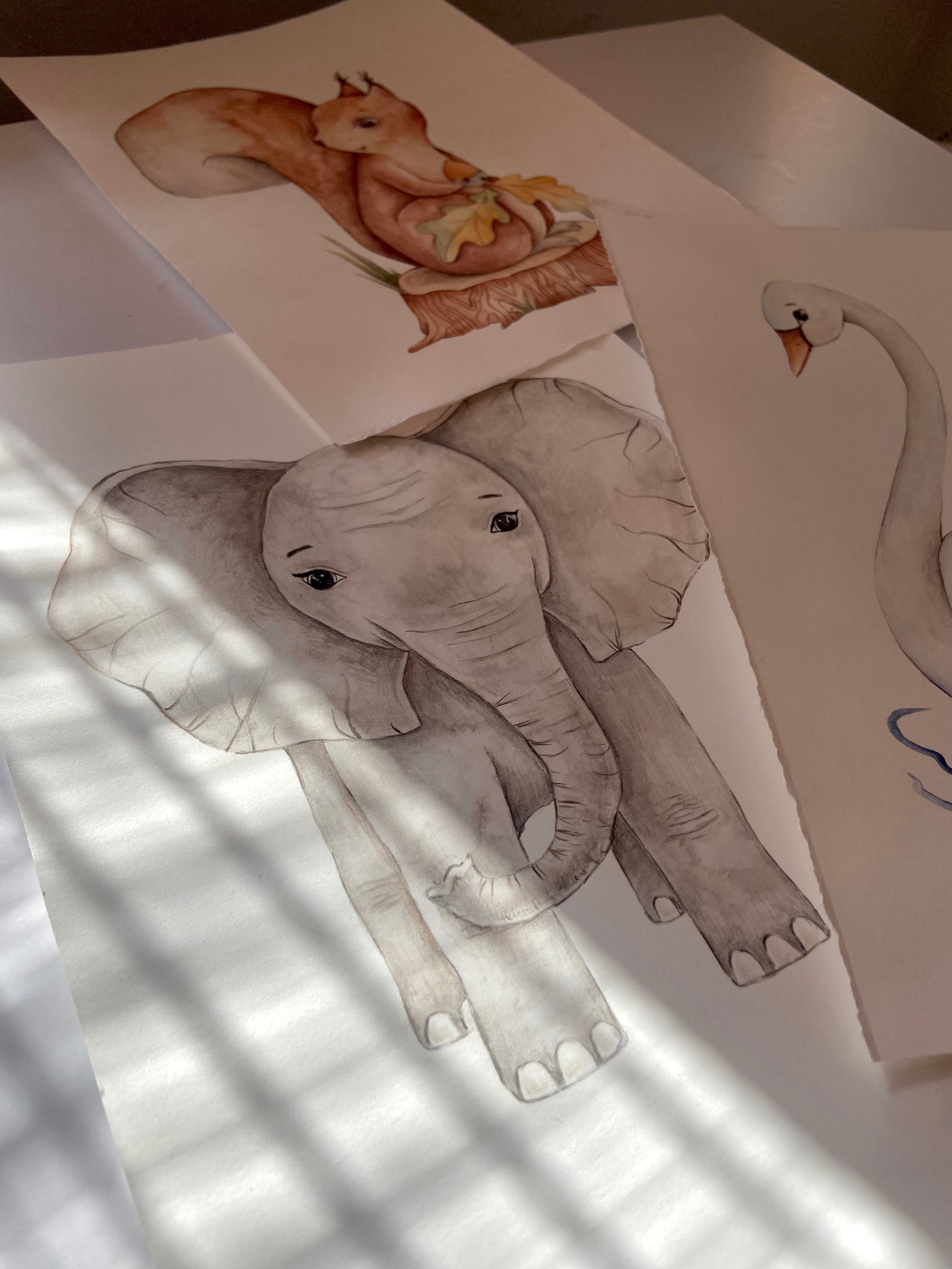 A watercolor-style elephant drawing on white paper, with other animal sketches partially visible on the table and soft window blinds casting shadows across the artwork.