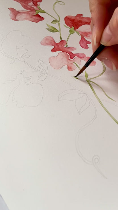 Sweet Pea Nursery Art Print